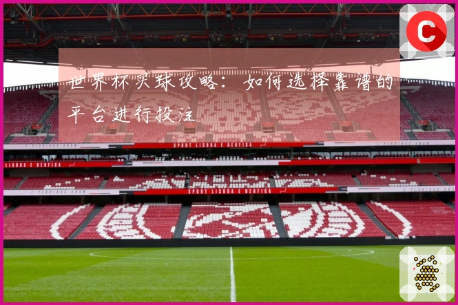 世界杯买球攻略：如何选择靠谱的平台进行投注