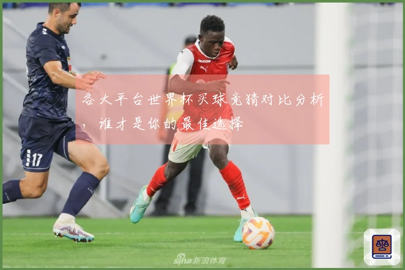 各大平台世界杯买球竞猜对比分析，谁才是你的最佳选择
