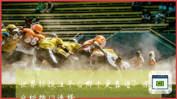 世界杯投注平台哪个更靠谱？深度分析热门选择