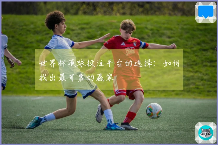 世界杯滚球投注平台的选择：如何找出最可靠的赢家